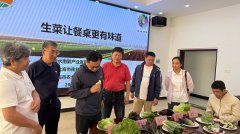 此中碧霄获得国内首个生菜新